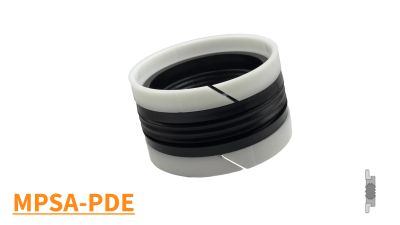 MPSA-PDE